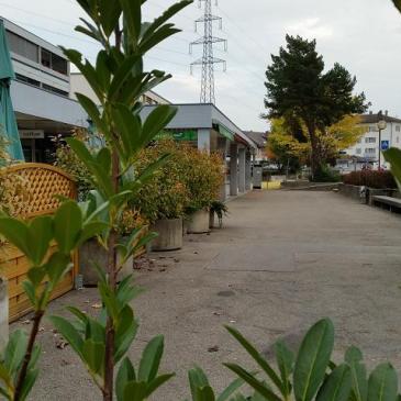 Fête de quartier 2016 de l'association de quartier Croisettes-Tuileries et environs à Epalinges - annonce