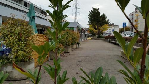 Fête de quartier 2016 de l'association de quartier Croisettes-Tuileries et environs à Epalinges - annonce